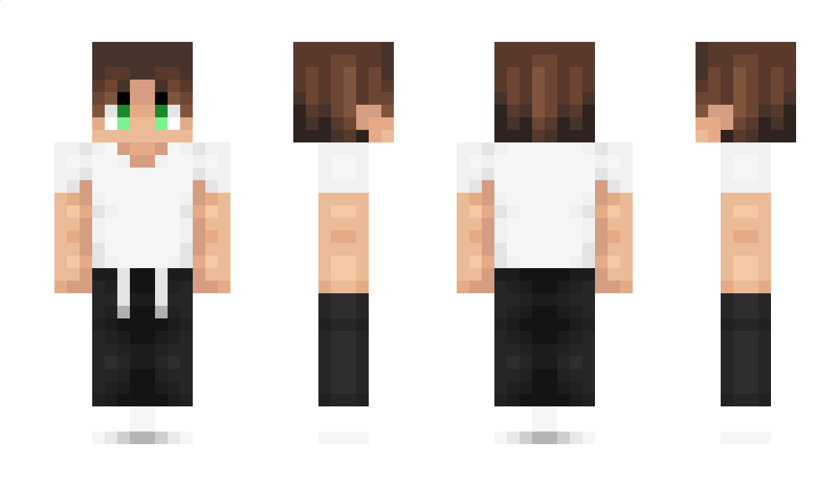 SeleaZen Minecraft Skin