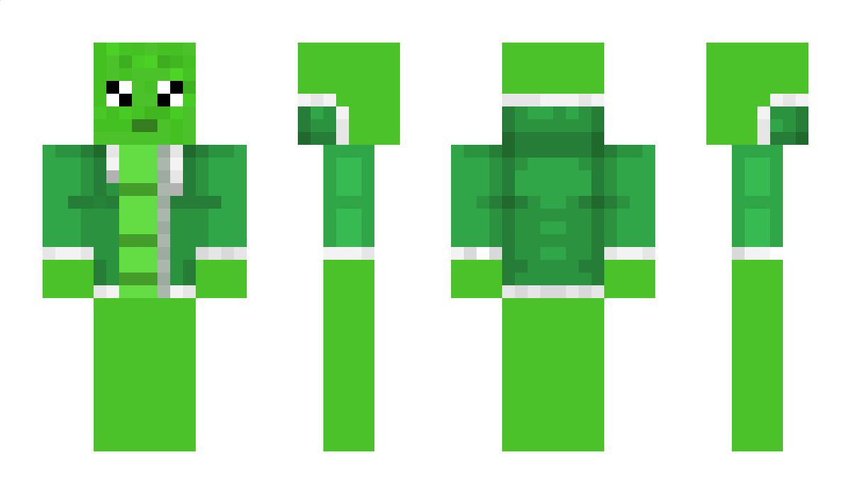 turtlemaster775 Minecraft Skin