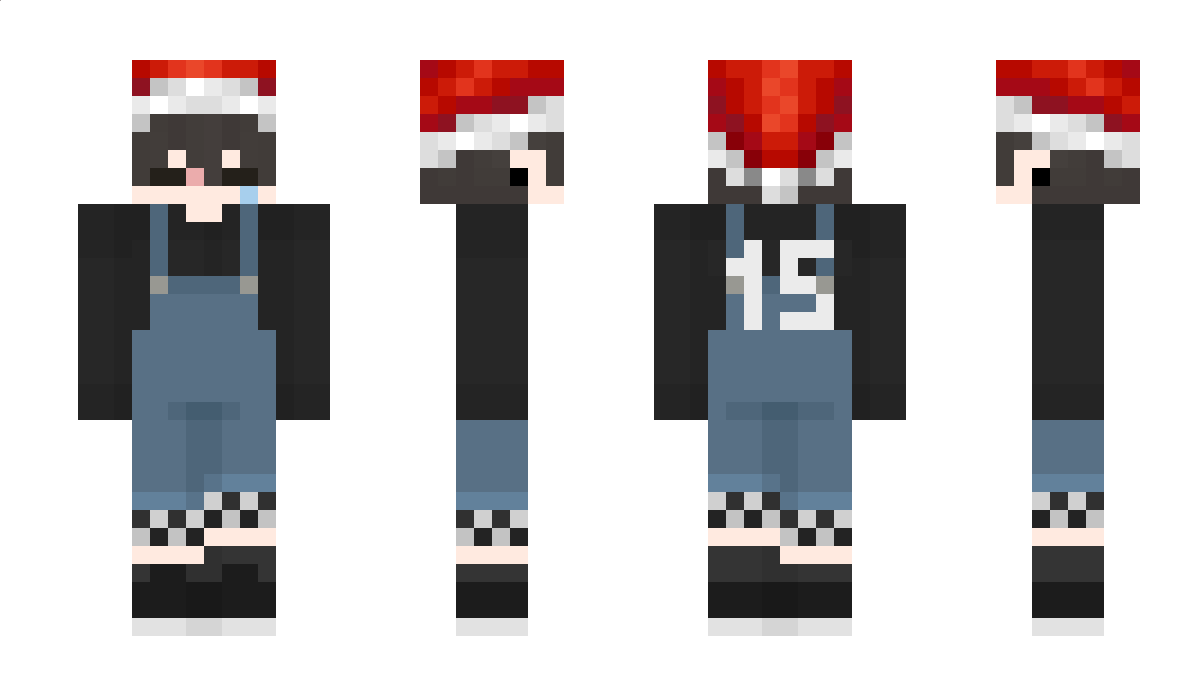 R0DEOS Minecraft Skin