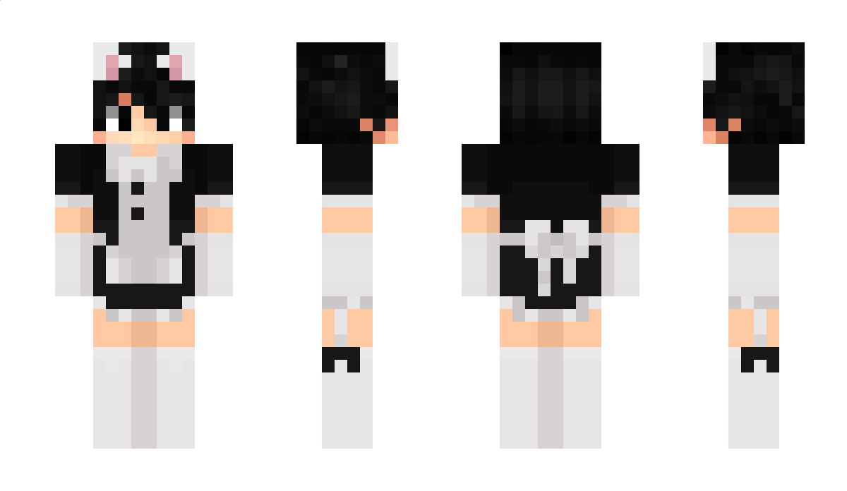 aacceee Minecraft Skin