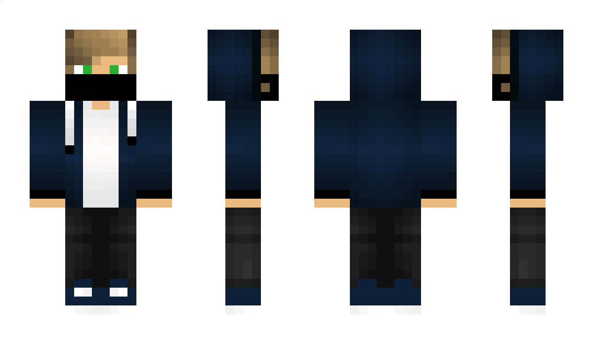 Pinguien Minecraft Skin