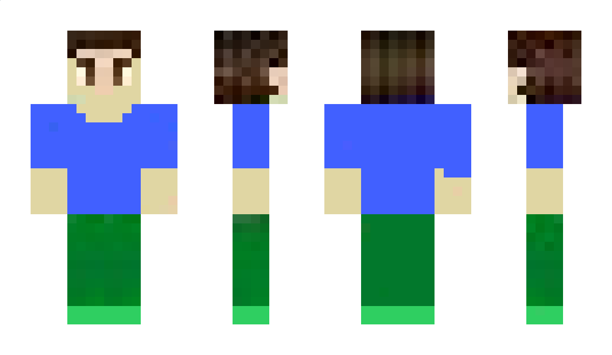 Leeuwcrafter Minecraft Skin