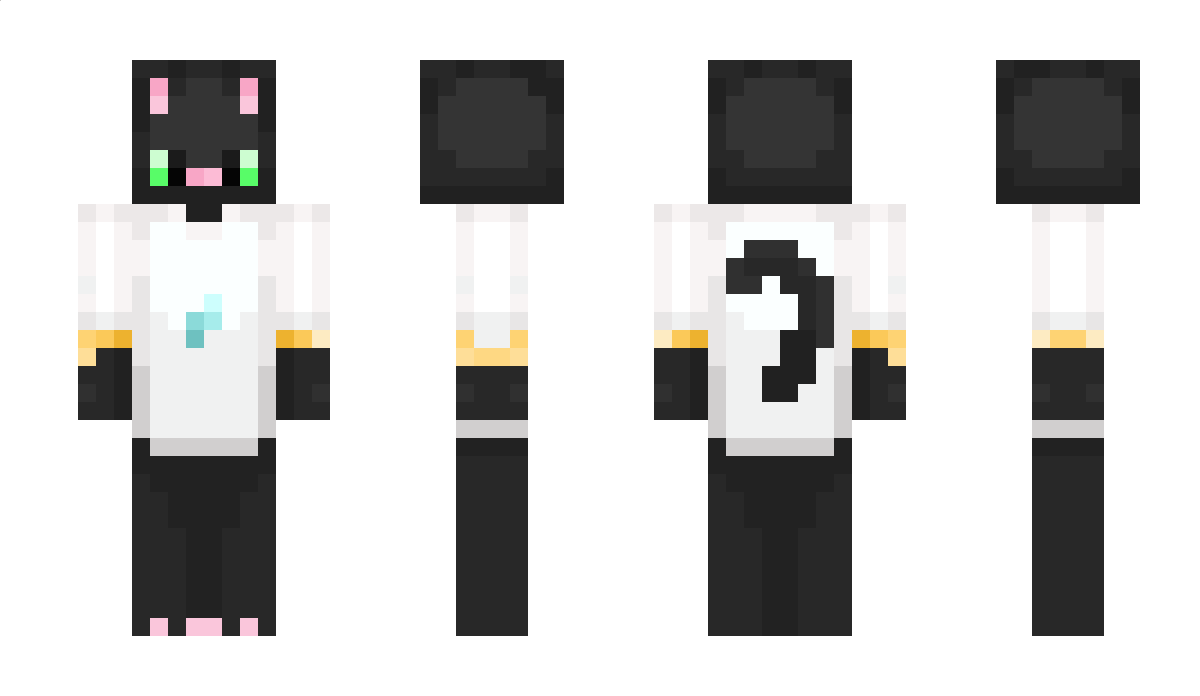 MICRA_Int Minecraft Skin