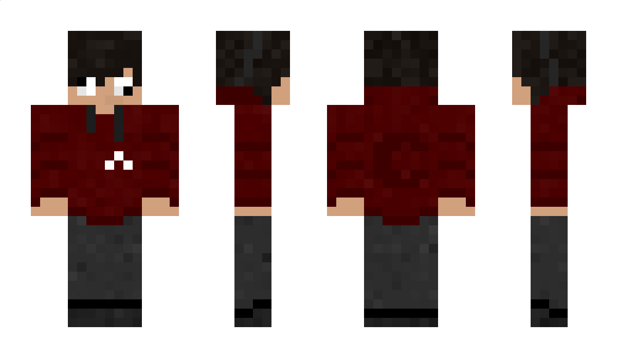 WBV Minecraft Skin