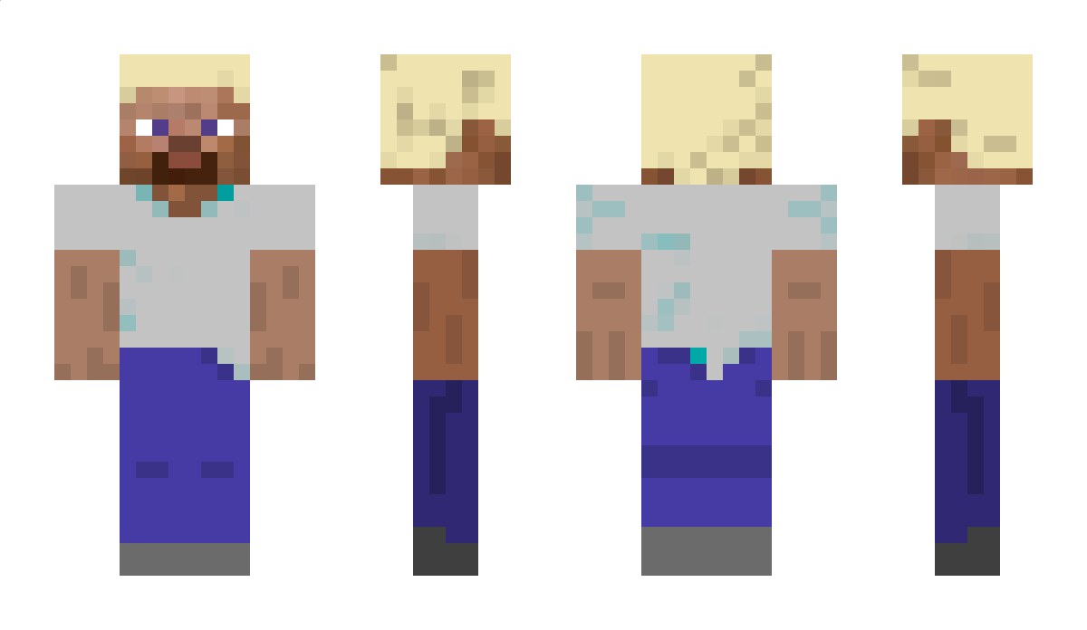 aaardvark Minecraft Skin