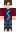 nidyshka Minecraft Skin