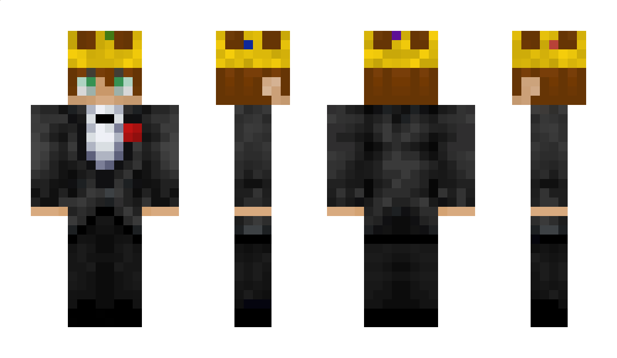 NoFlytoLimit Minecraft Skin