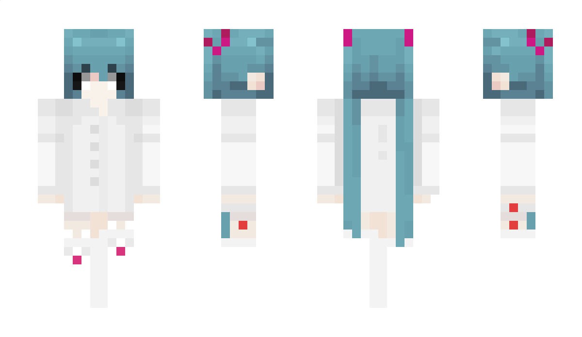 totaruu Minecraft Skin