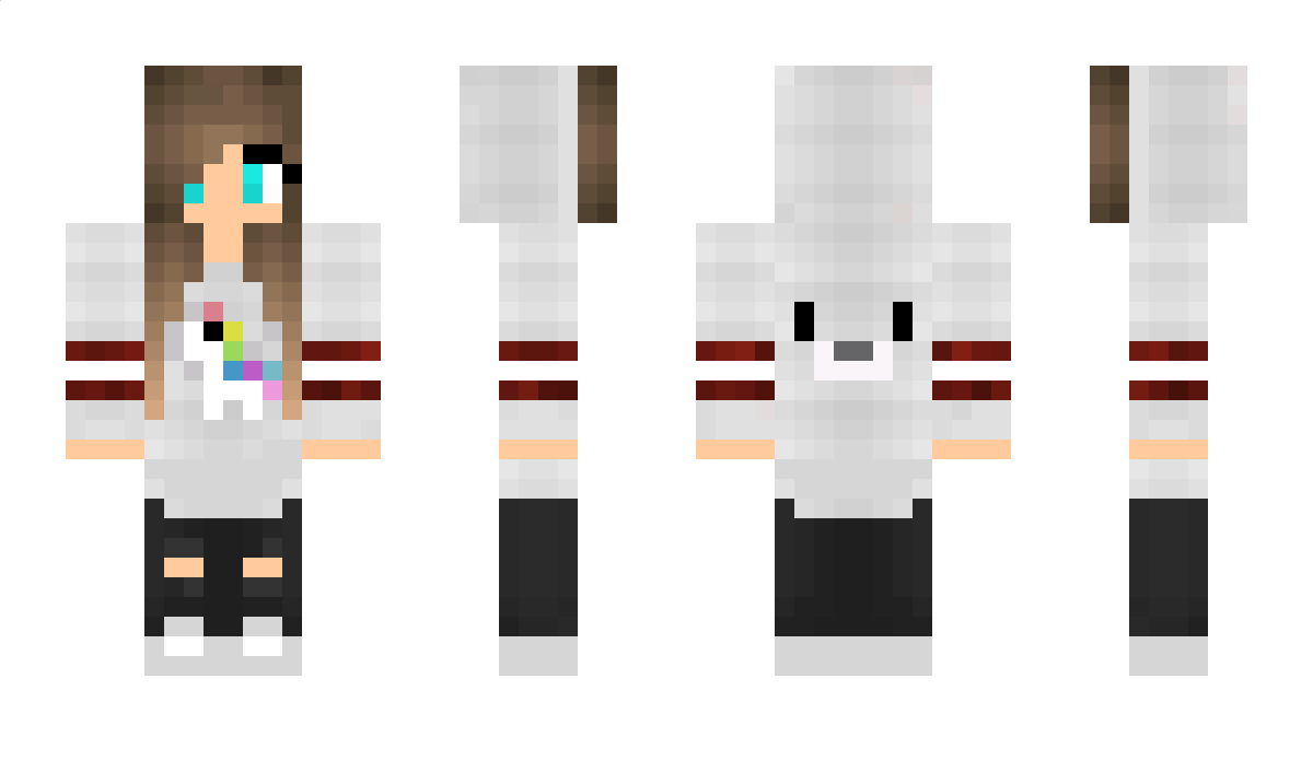 PinguinInsel Minecraft Skin