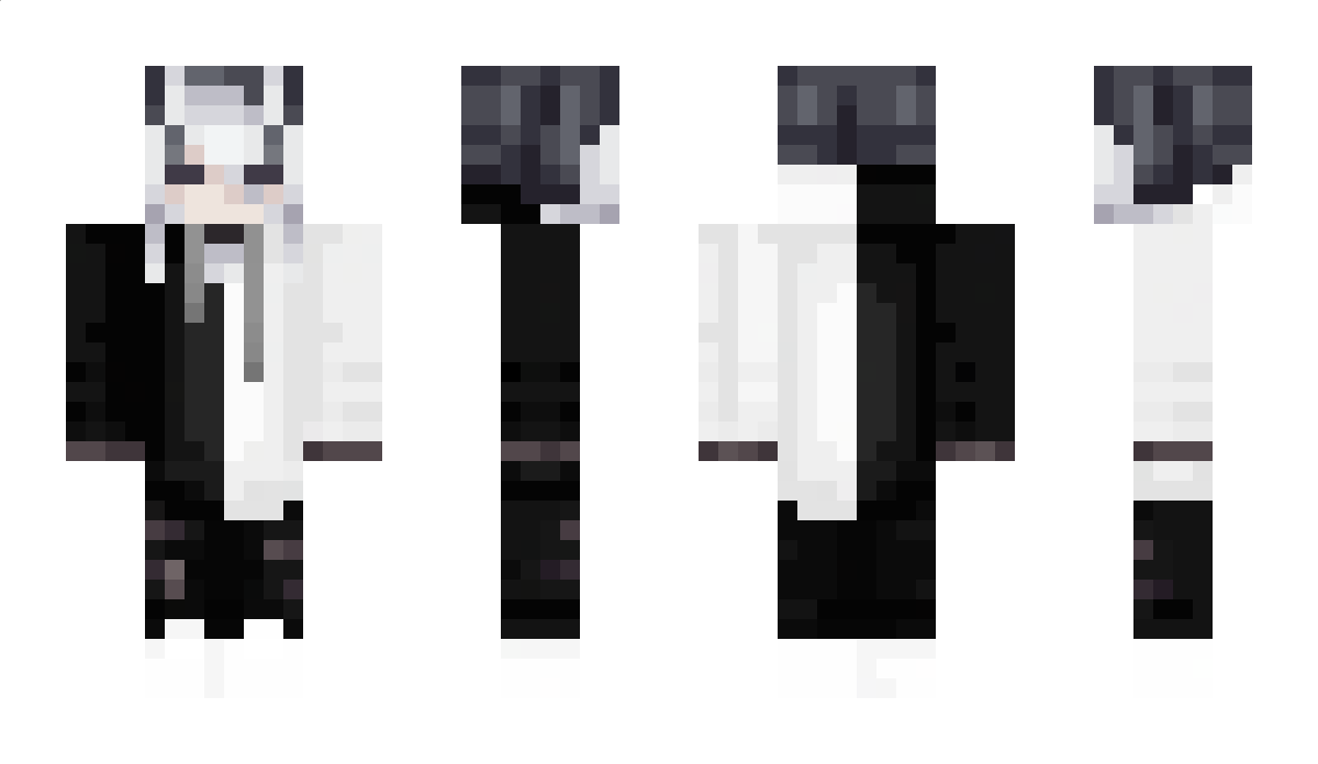 VoxelPaxel Minecraft Skin