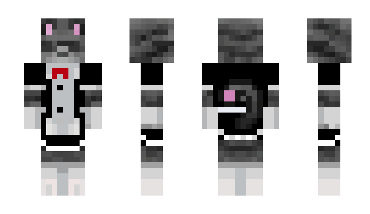 CTZR Minecraft Skin