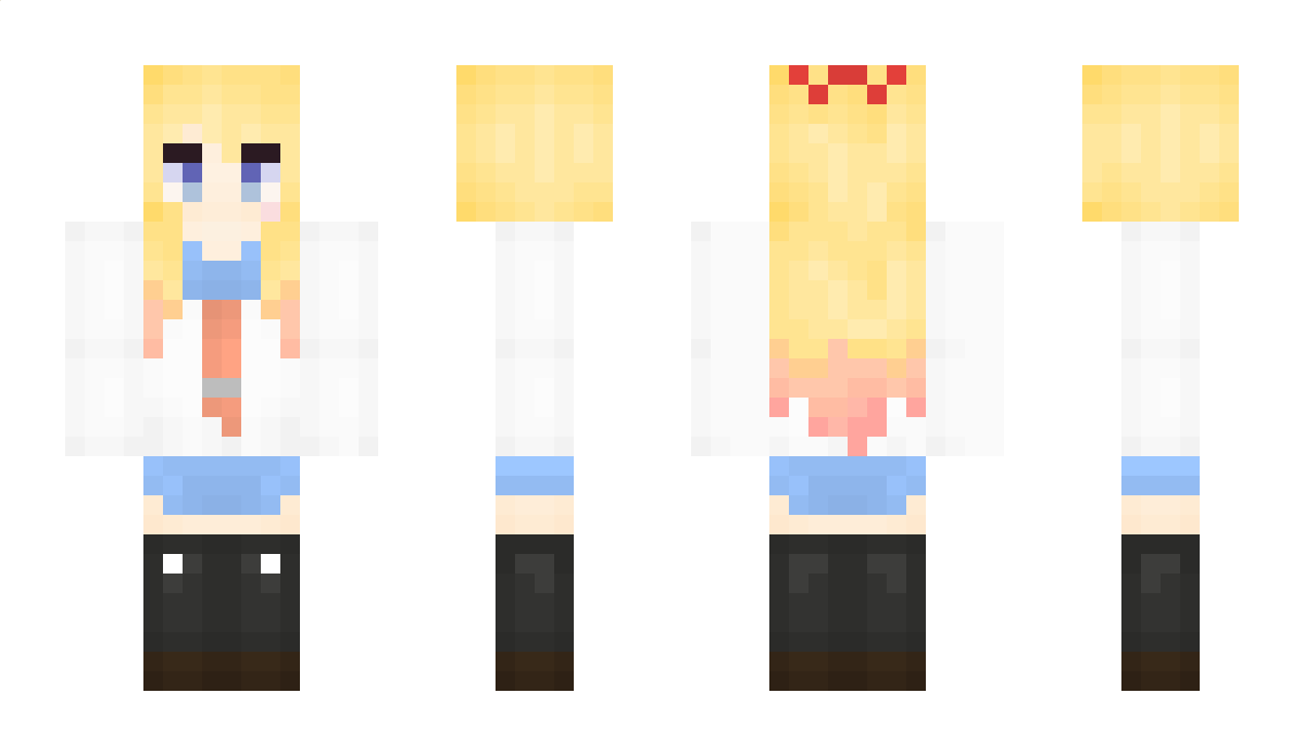 hom Minecraft Skin