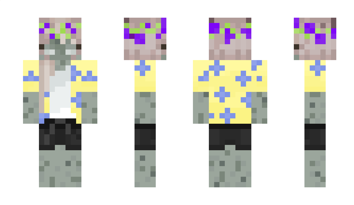 schmxtr Minecraft Skin