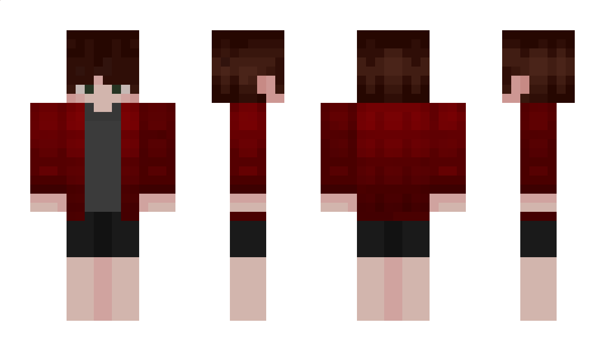 MrEnvie Minecraft Skin