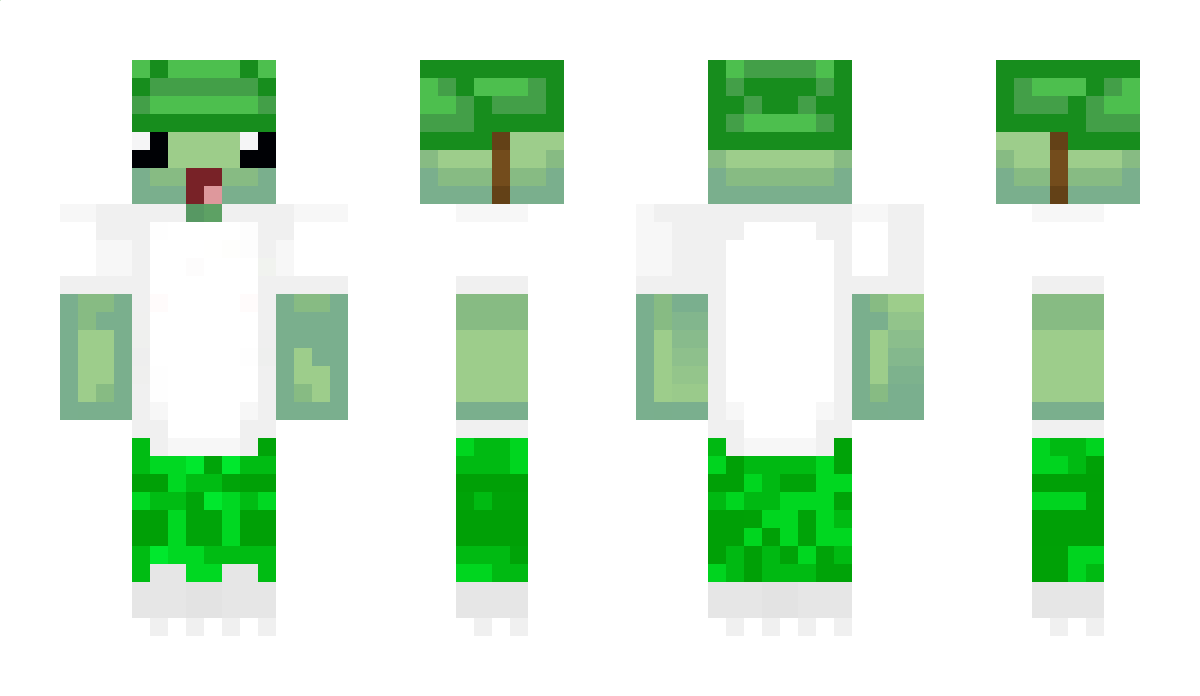 Kuba00cz Minecraft Skin