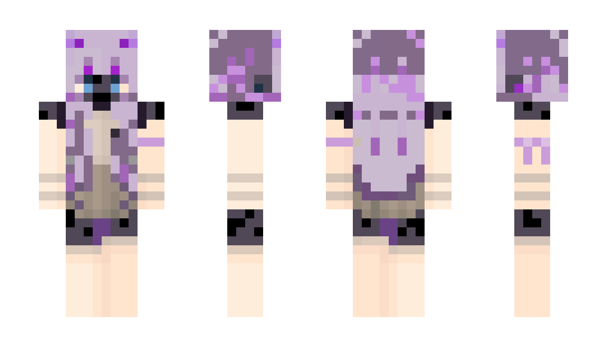 EnderIce Minecraft Skin