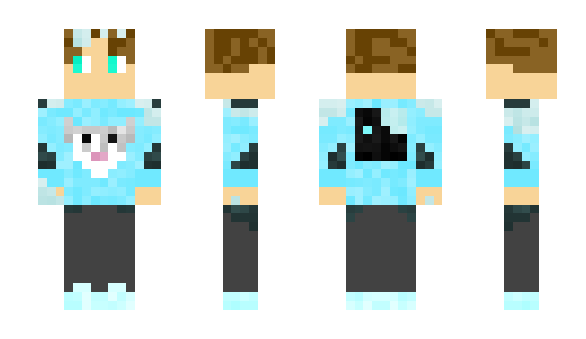 Deubra Minecraft Skin