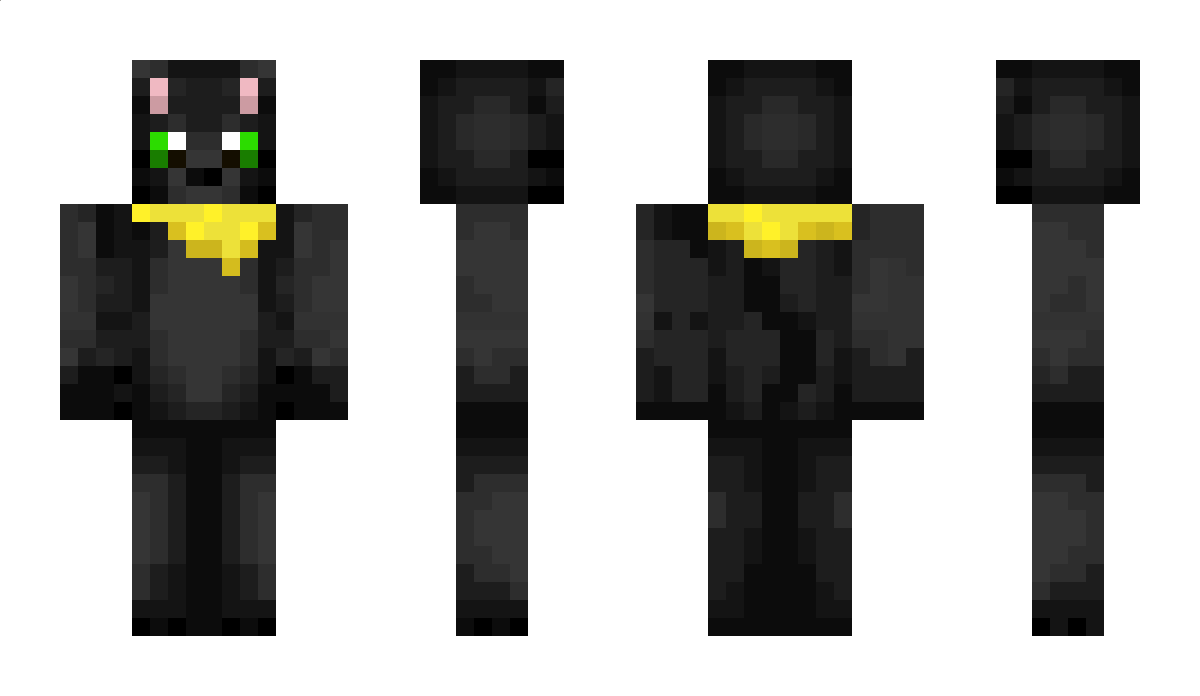 ShakiLion Minecraft Skin