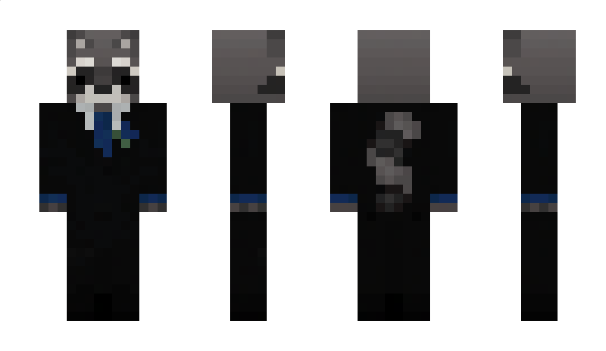 Waschibarie Minecraft Skin