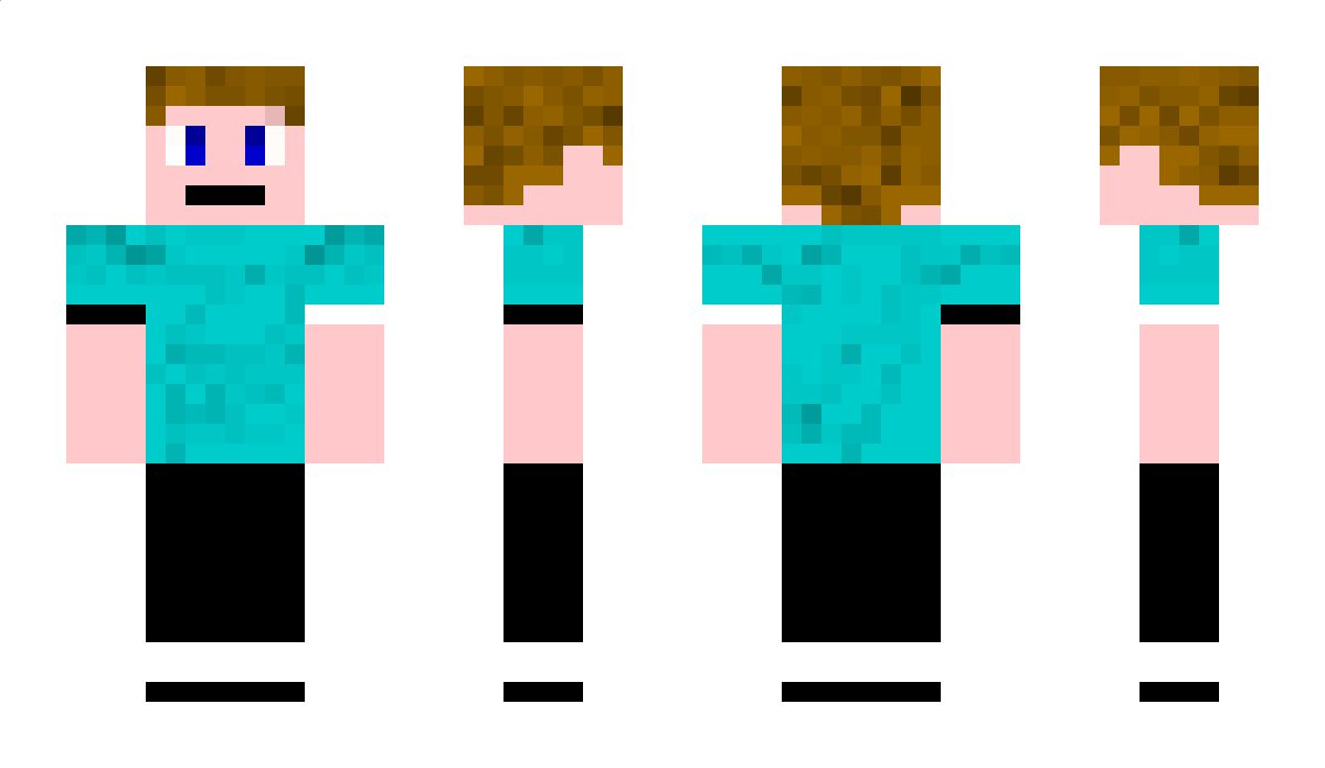 telfon Minecraft Skin