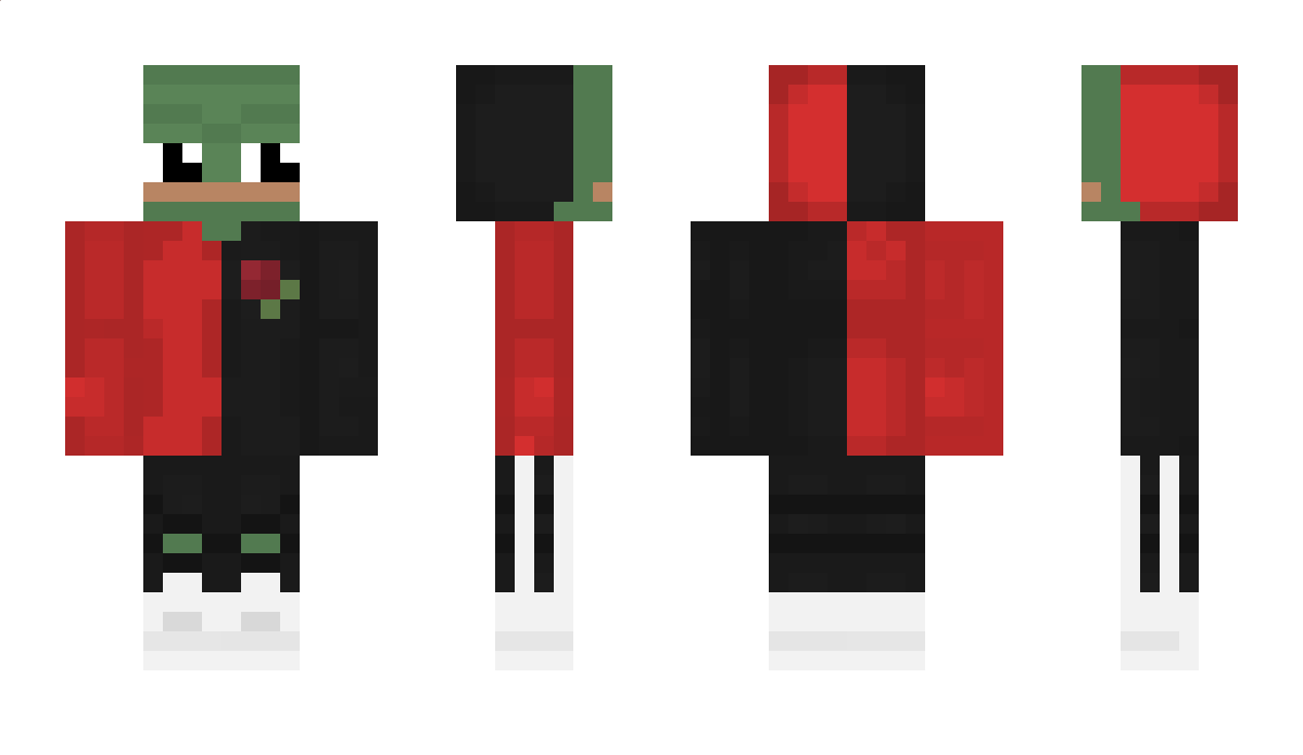 havus2010 Minecraft Skin