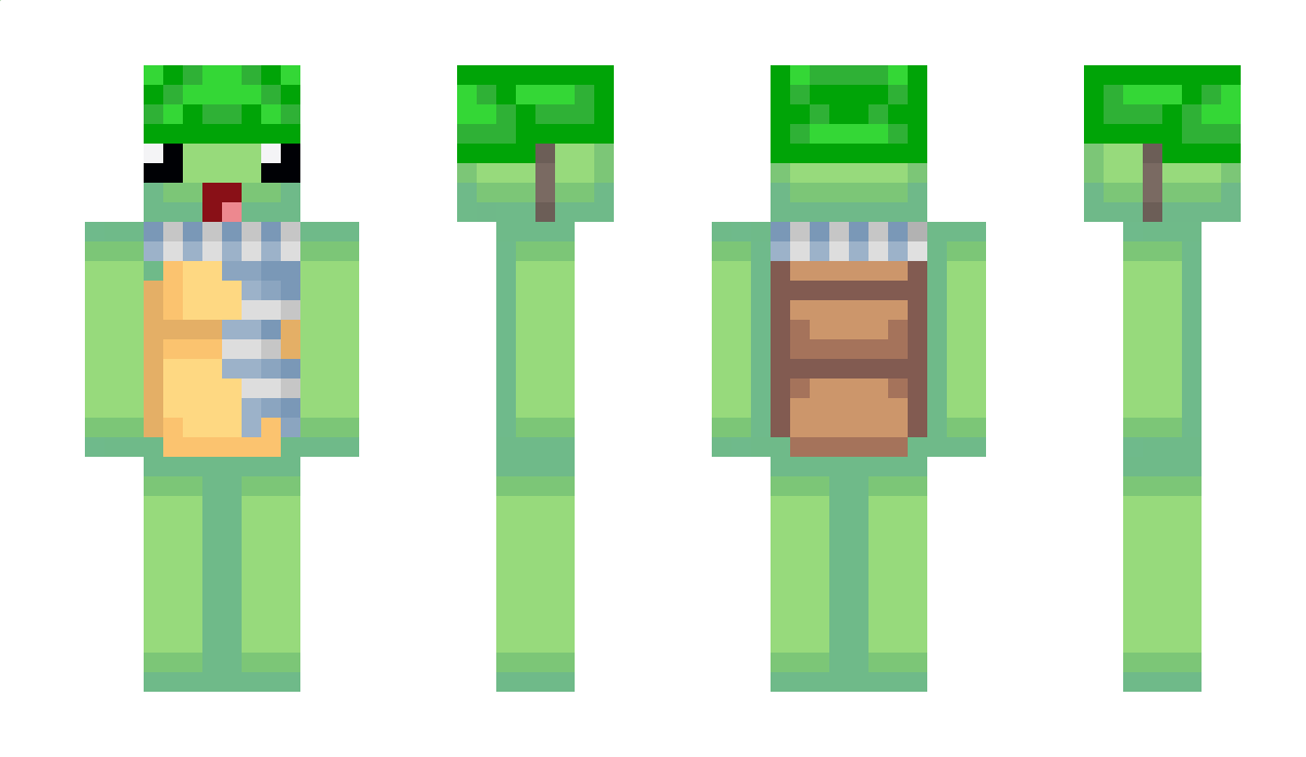 TurtlesManDrew Minecraft Skin