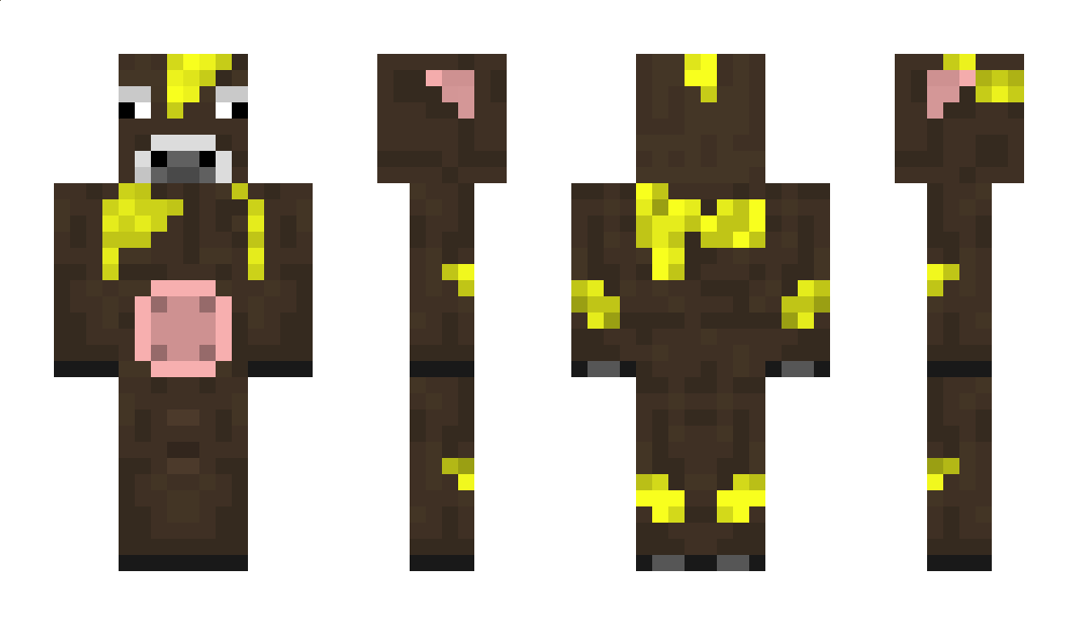 roomm Minecraft Skin