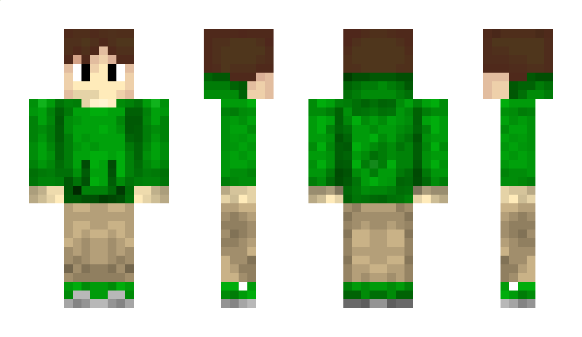 hay100 Minecraft Skin