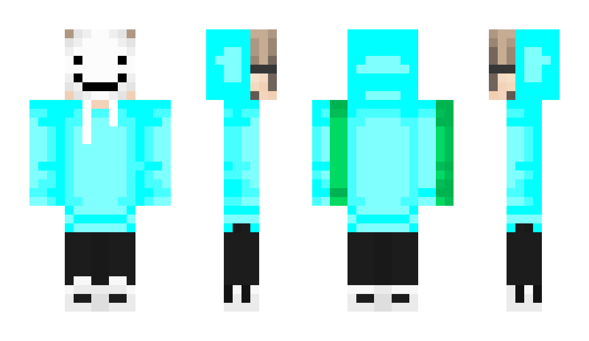 NotWinnieFred Minecraft Skin