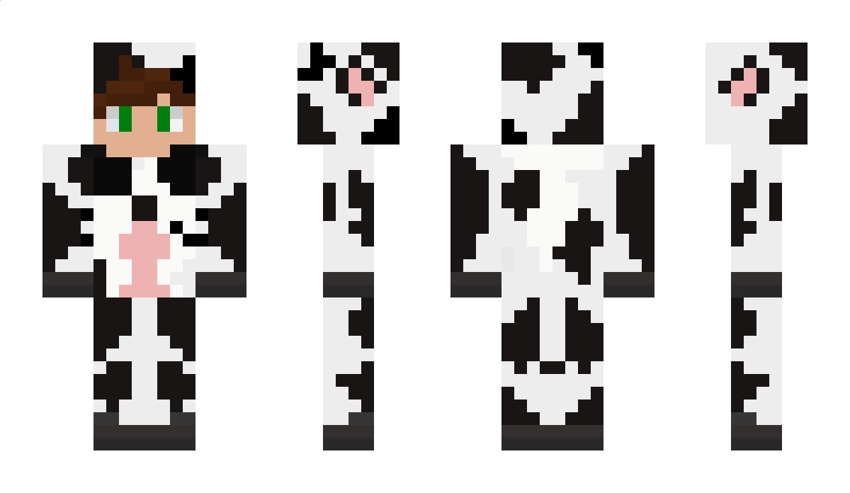 MapArt Minecraft Skin