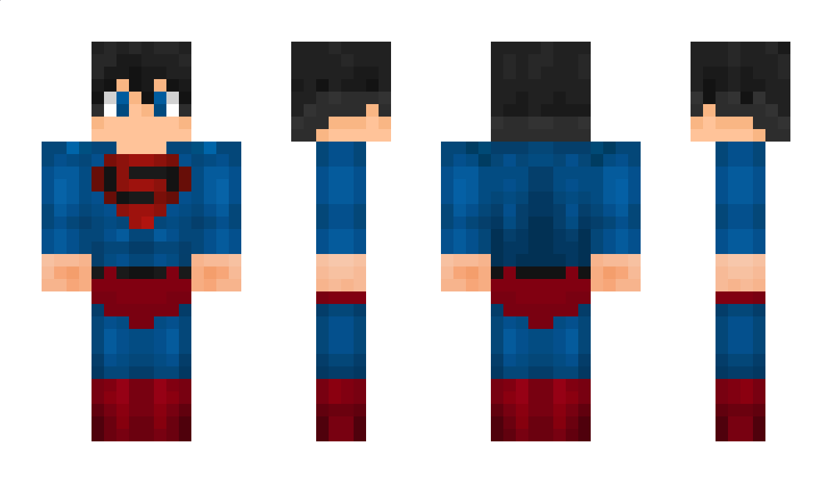 raccane Minecraft Skin