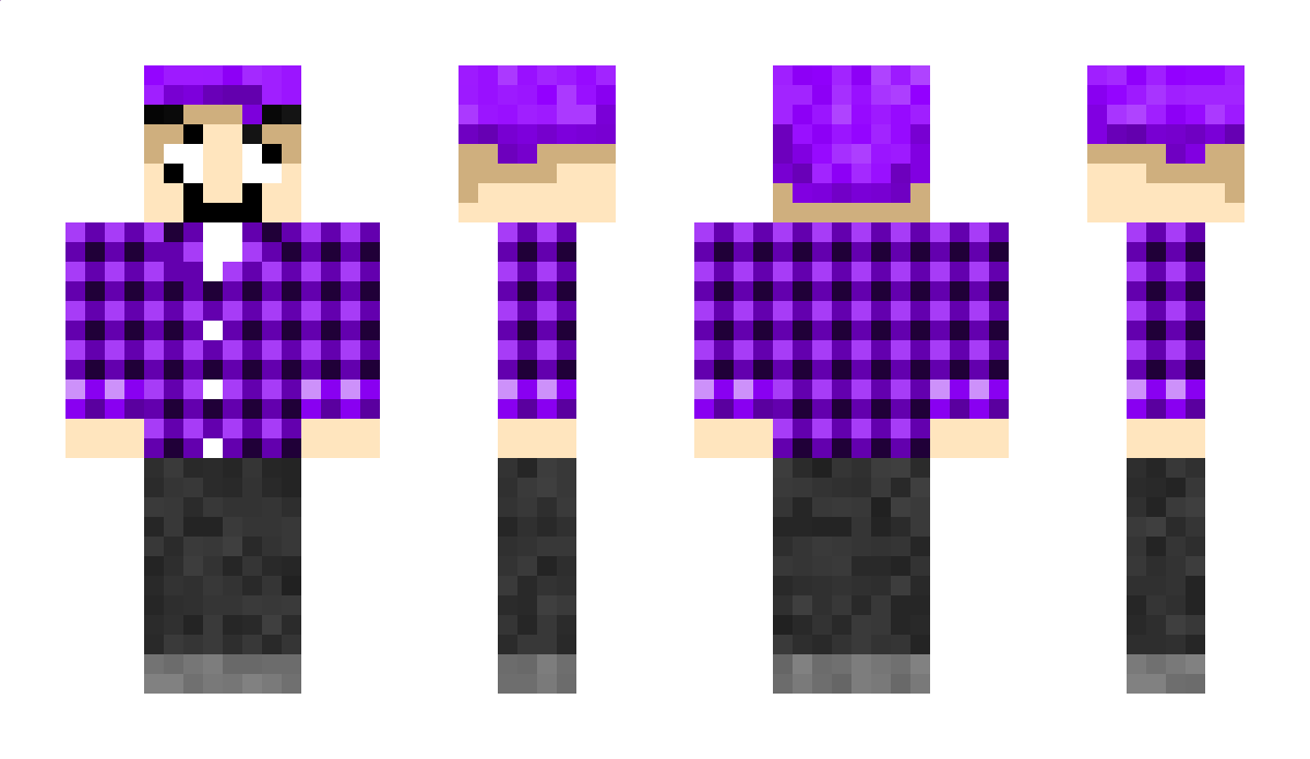 Sp1dfy Minecraft Skin