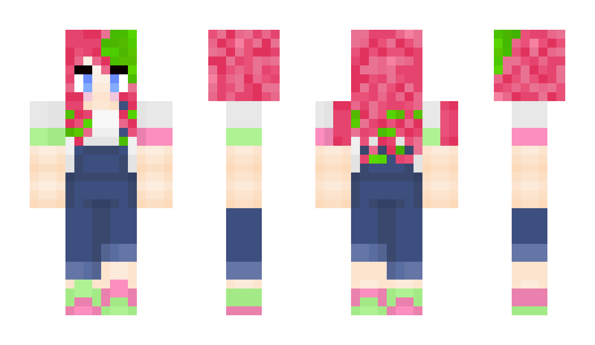 RariCat Minecraft Skin