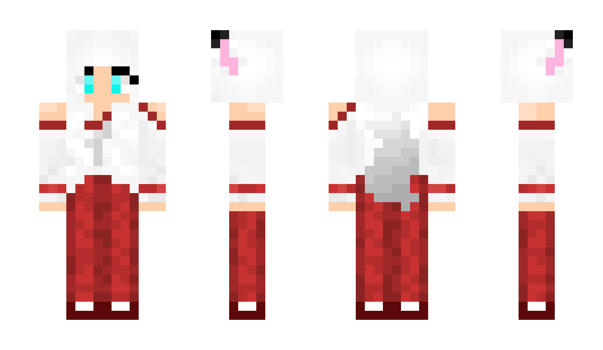 gamer_fox1 Minecraft Skin