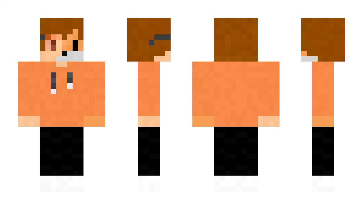 1MPlayerFox_YT Minecraft Skin