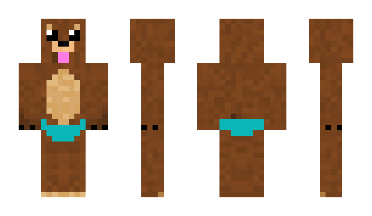 Wasbeer Minecraft Skin