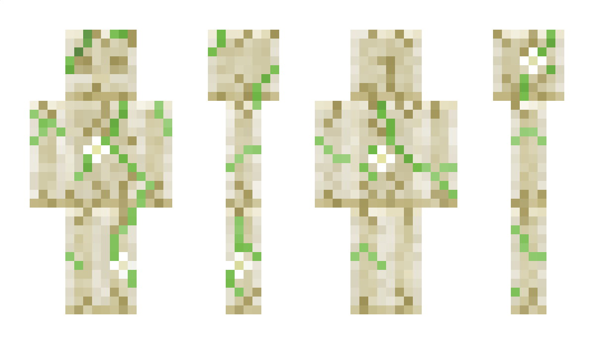 Nate4058 Minecraft Skin