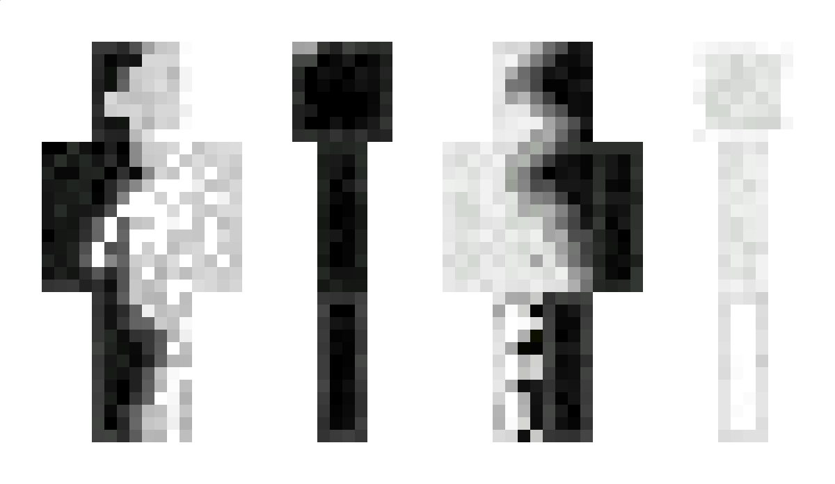 BtxD Minecraft Skin