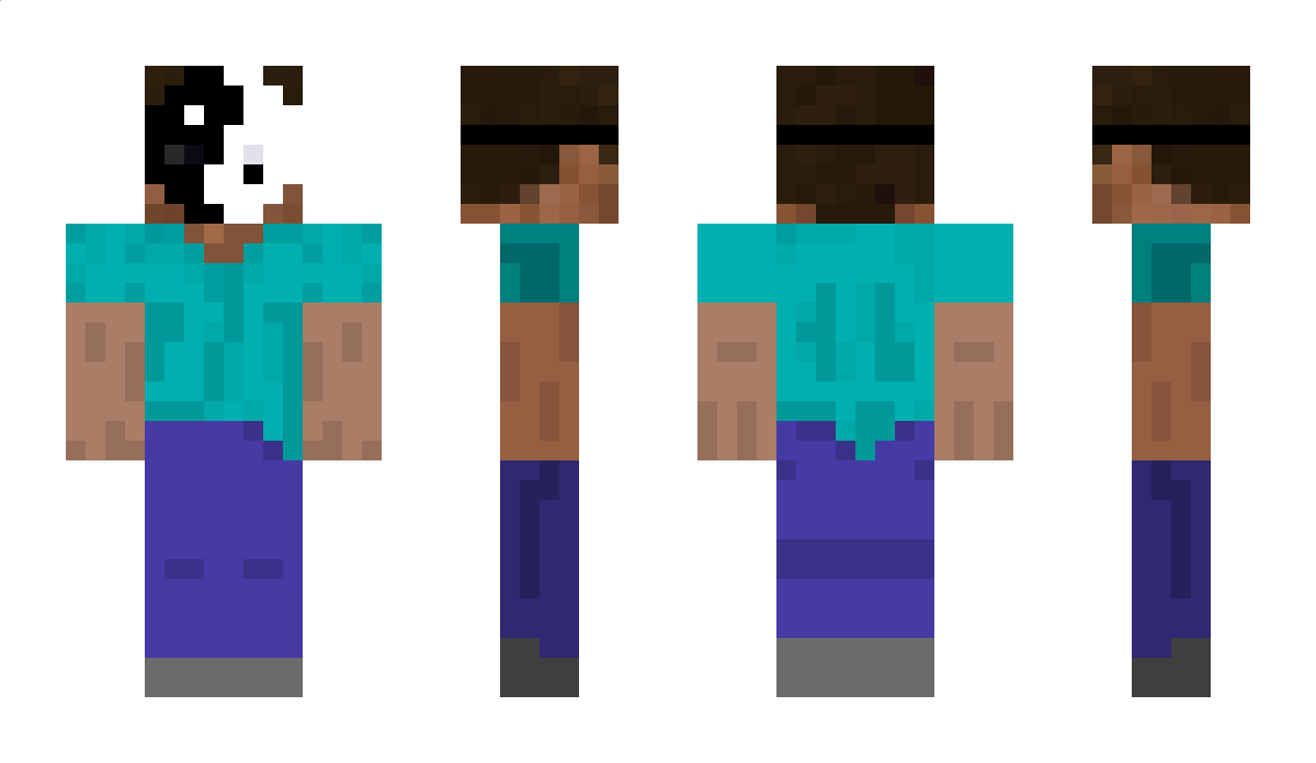 minecraft_Taiji Minecraft Skin