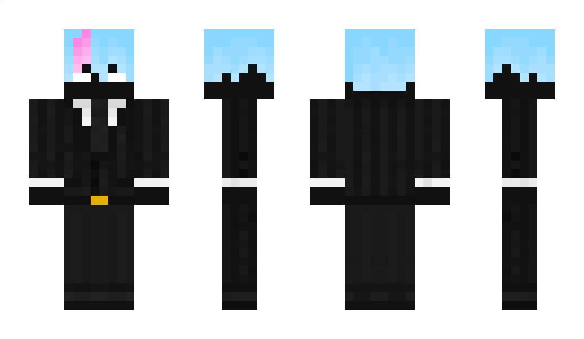 Nikistar002 Minecraft Skin