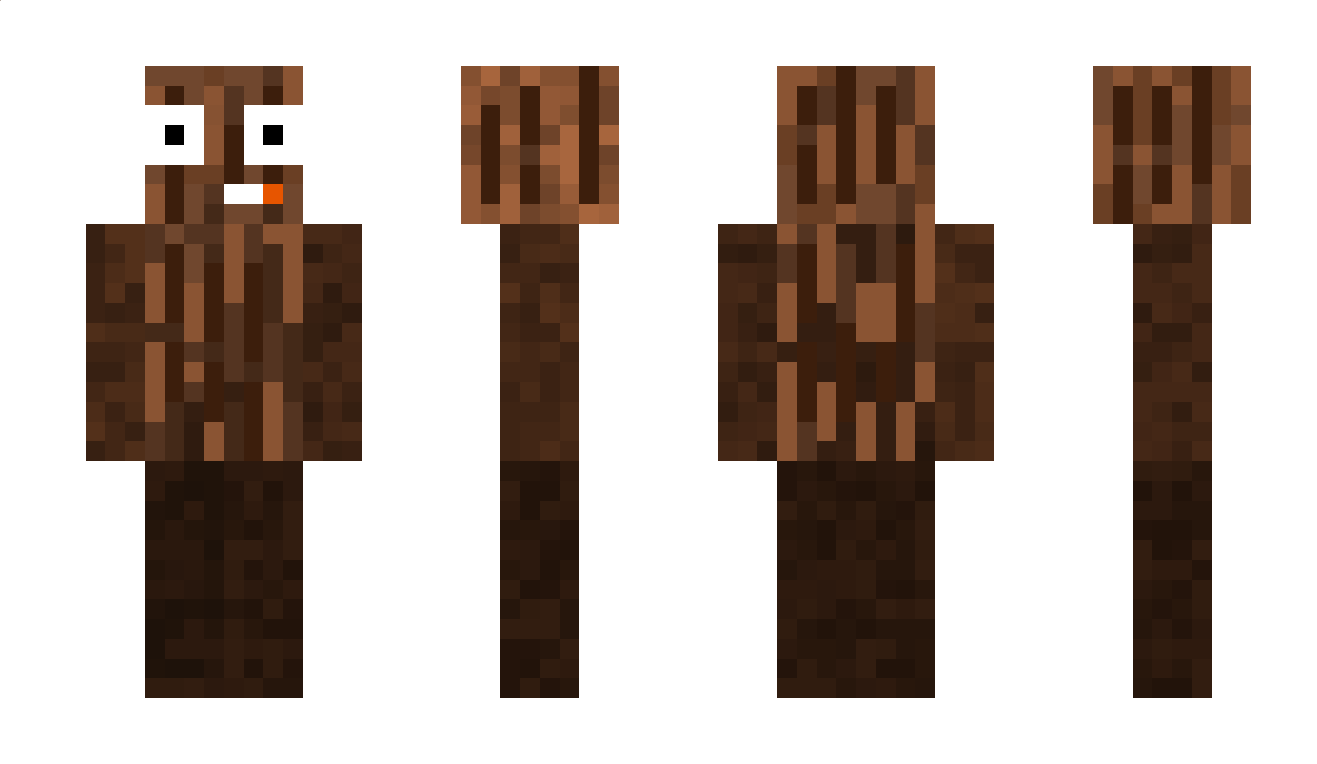 Engineering Minecraft Skin