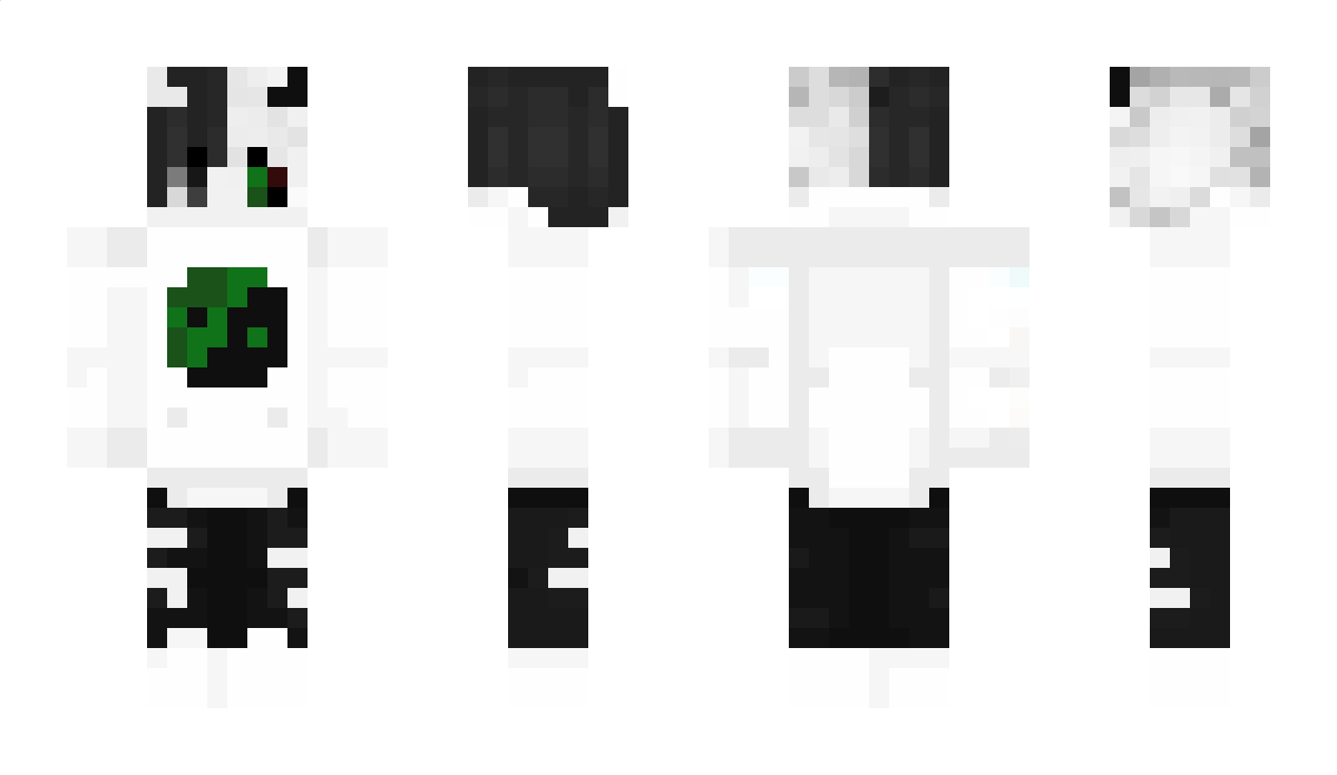 mrginiuPL Minecraft Skin