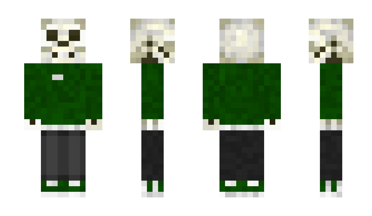 Tommeri Minecraft Skin