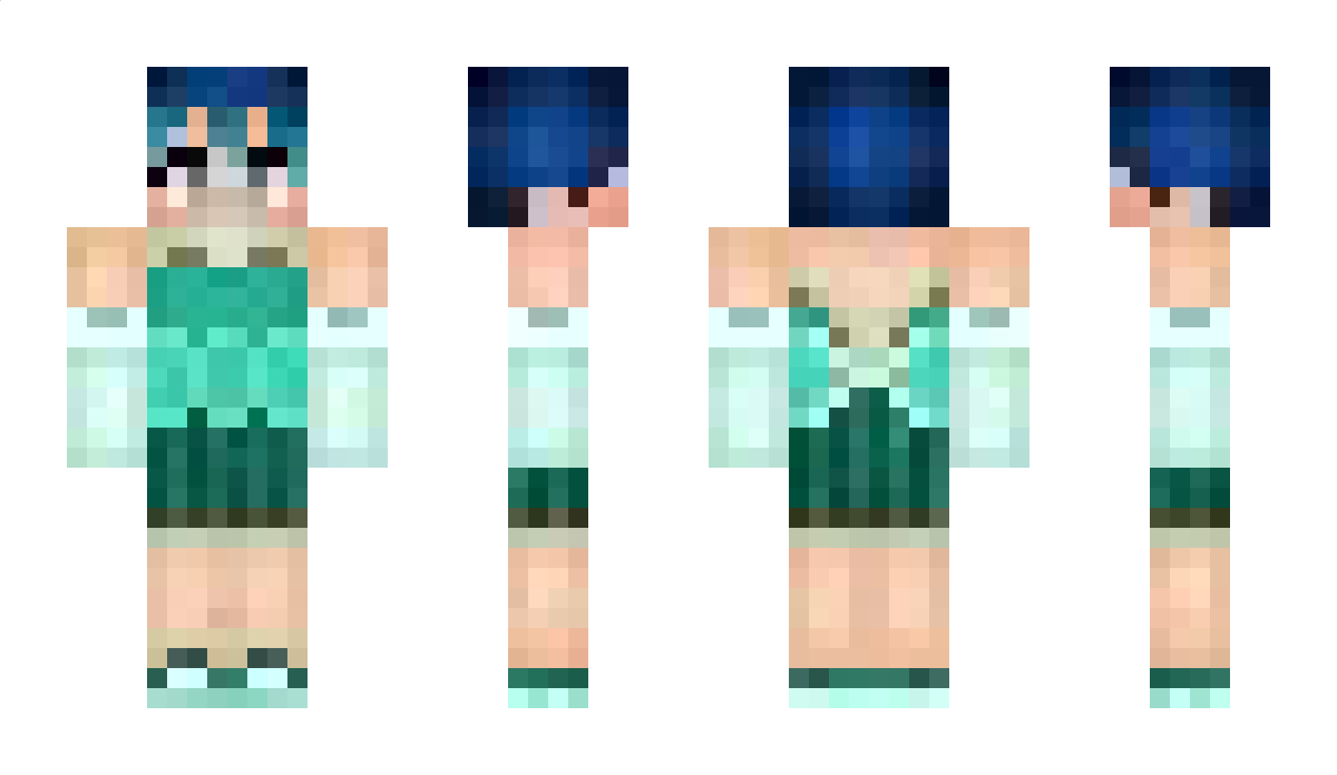 Widgets Minecraft Skin