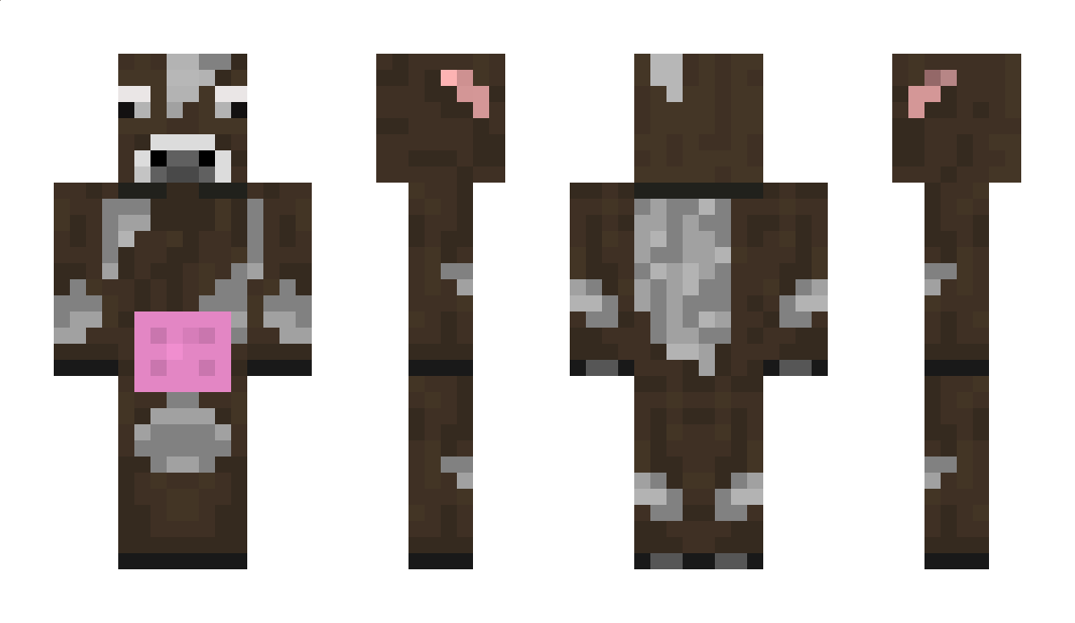 Min Minecraft Skin