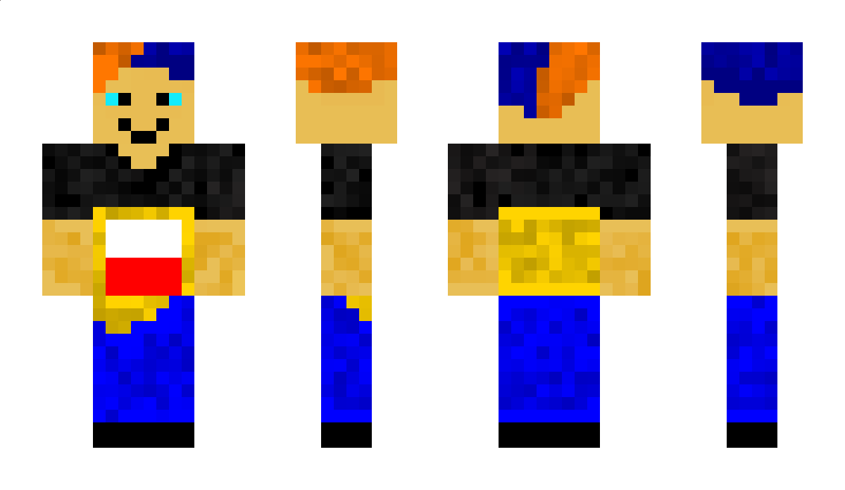 piratbroda1234 Minecraft Skin