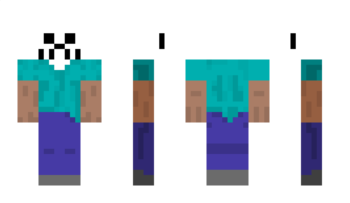 Pudi Minecraft Skin