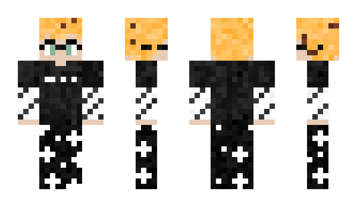 RacconOnCrack Minecraft Skin