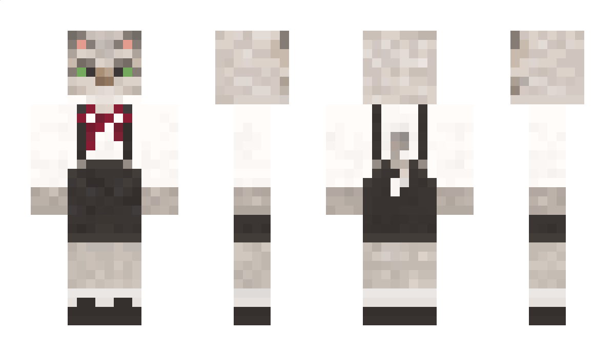 Riny Minecraft Skin