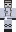 BricTubular Minecraft Skin